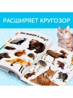 Первые 500 слов малыша