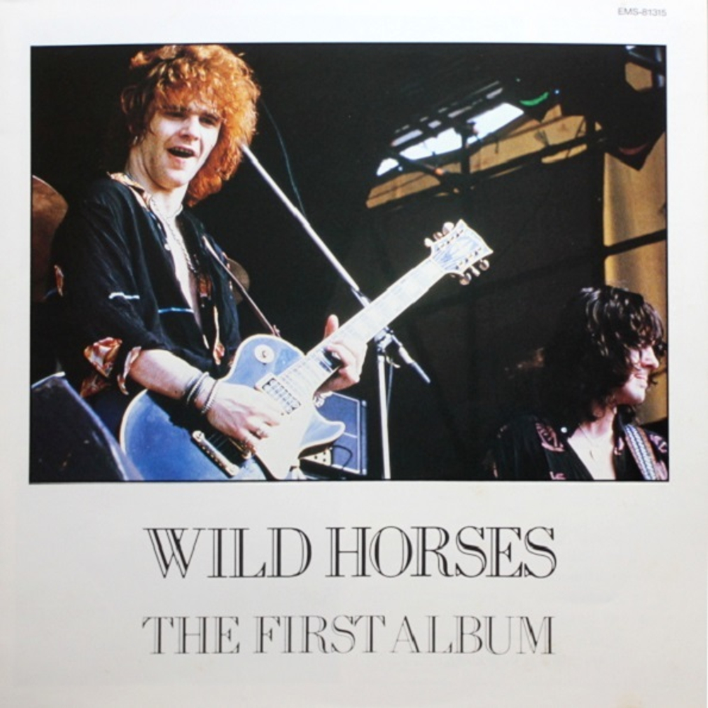 Wild Horses / Wild Horses (LP)