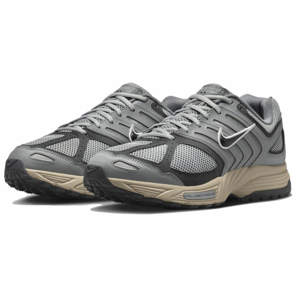 Кроссовки Nike Air Pegasus 2005