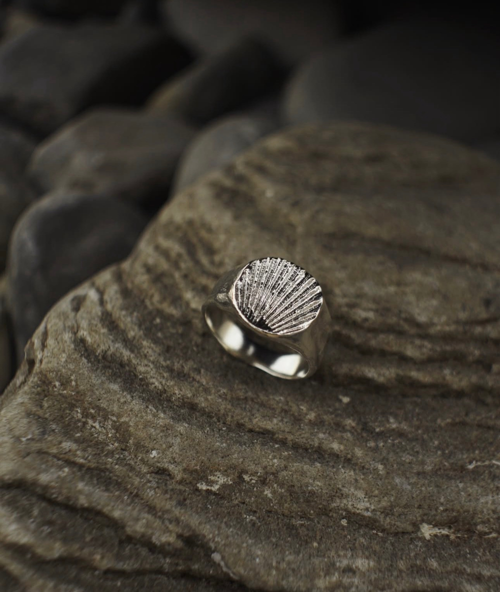 кольцо большая печатка ракушка