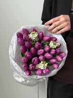Букет из 31 фиолетового тюльпана и белого оксипеталума