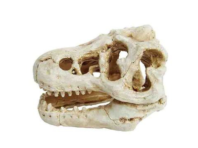 Декорация пластиковая PRIME Череп динозавра 8.5X6X6см