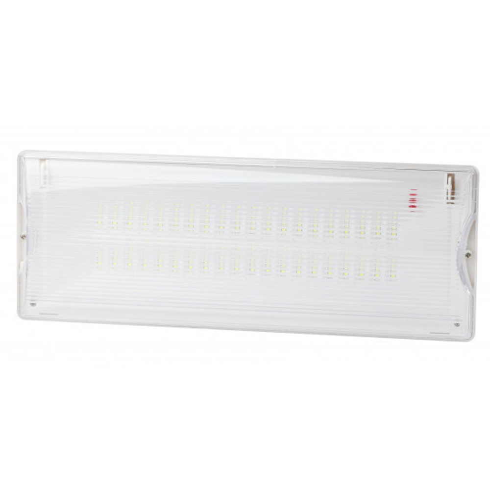 Аварийный светильник DPA-301-1-65 постоянный 40LED 3ч IP65 NiCD ЭРА Б0051843