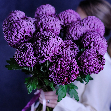 Букет премиальных хризантем Bigoudi Purple