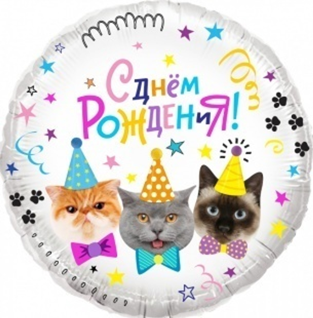 К 18"/46 см, Круг, С Днем Рождения, Котики, 1 шт. (В упаковке)