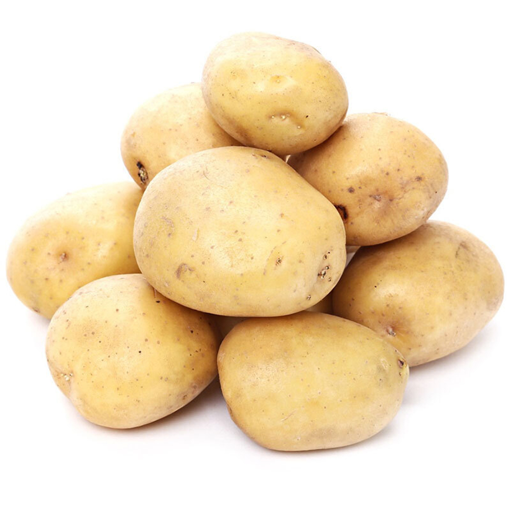 322203