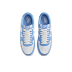 Мужские кроссовки Nike Terminator Low 'University Blue' FQ8748-412