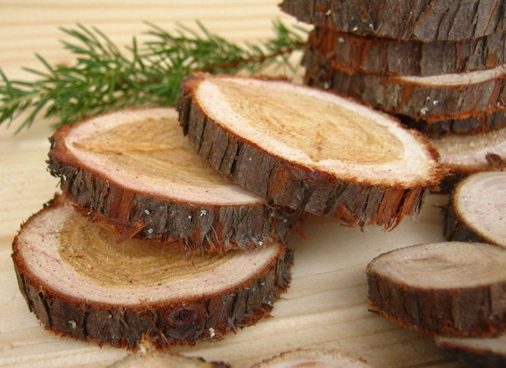 Можевельник спилы 4 шт диаметр 3-5см