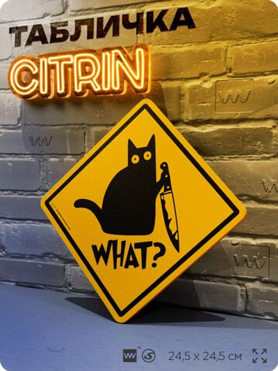 Табличка мем "Кот с ножом" шуточная прикольная табличка на дверь и стену, для офиса и дома, декоративный знак, 24,5х24,5 см, пластиковая, Айдентика Технолоджи