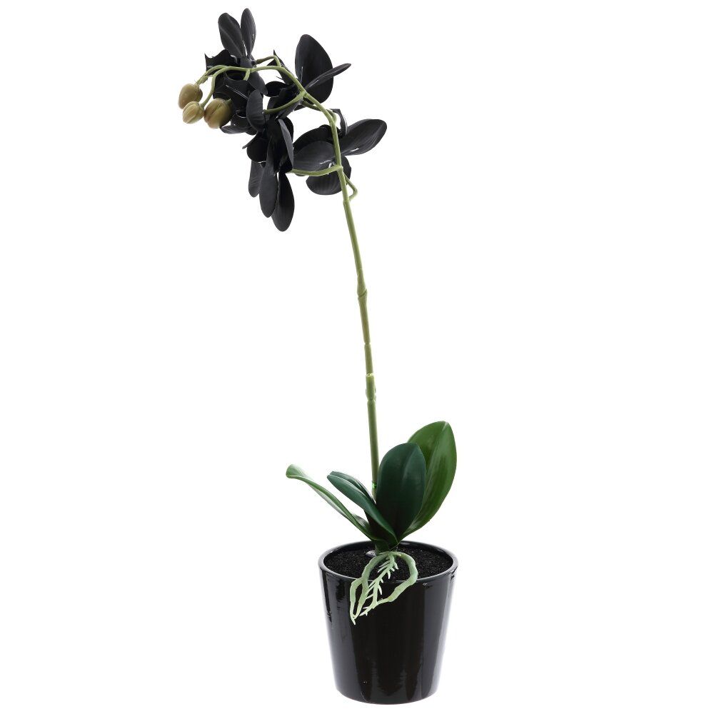 GAEM Цветочная композиция, L W H45 см