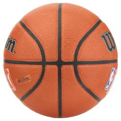 Мяч баскетбольный Wilson JR. NBA Fam Logo Indoor Outdoor WZ2009801XB7, размер 7