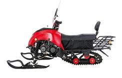 Снегоход REGULMOTO Raccoon разборный