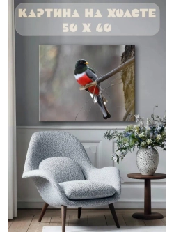 Картина на стену 40 X 50 Птица