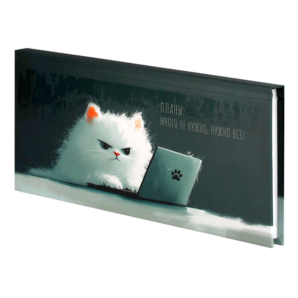 Еженедельник недатированный 171*93 мм ЭСКАЛАДА Кот с ноутбуком (71561)