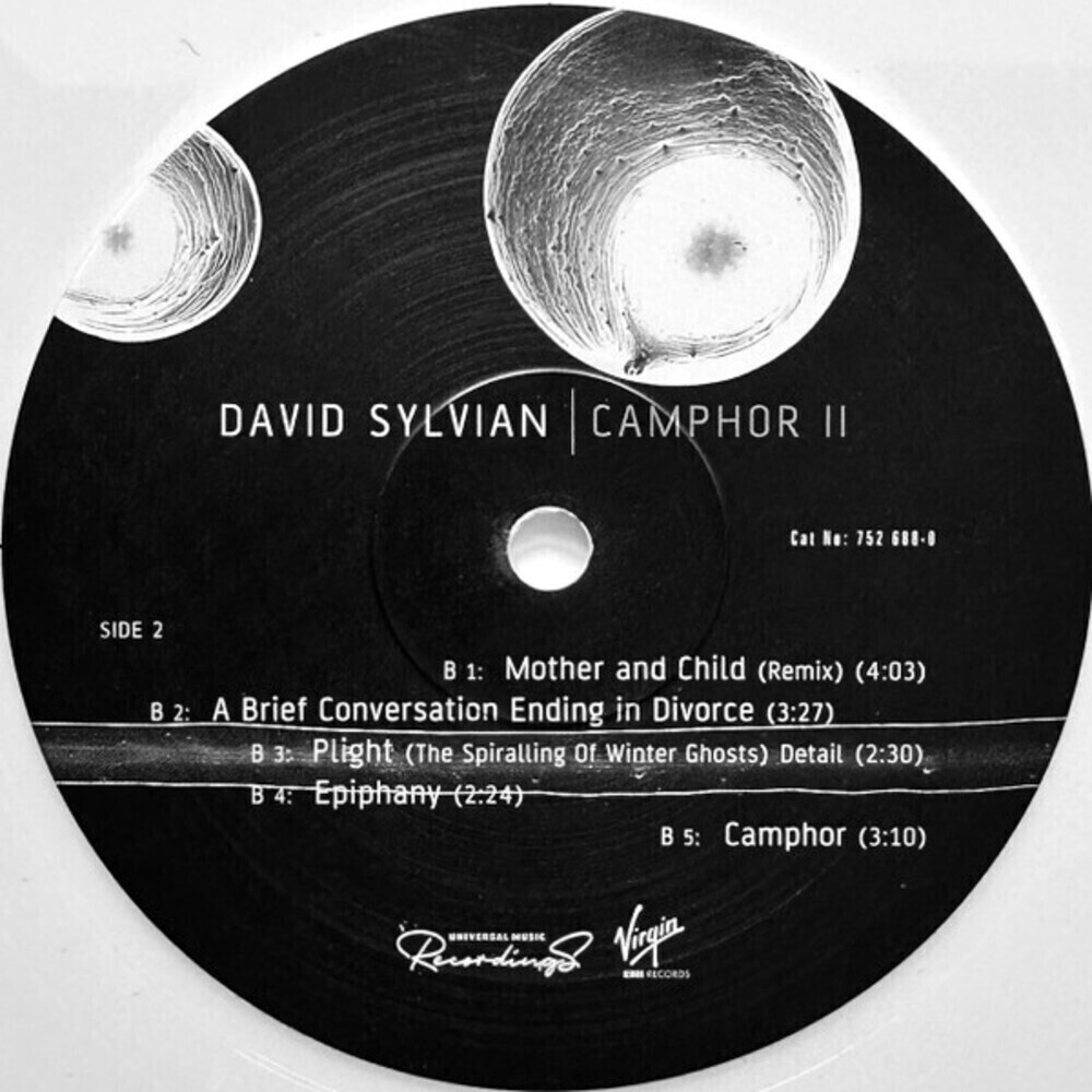 David Sylvian / Camphor II (Limited Edition)(Coloured Vinyl)(2LP)