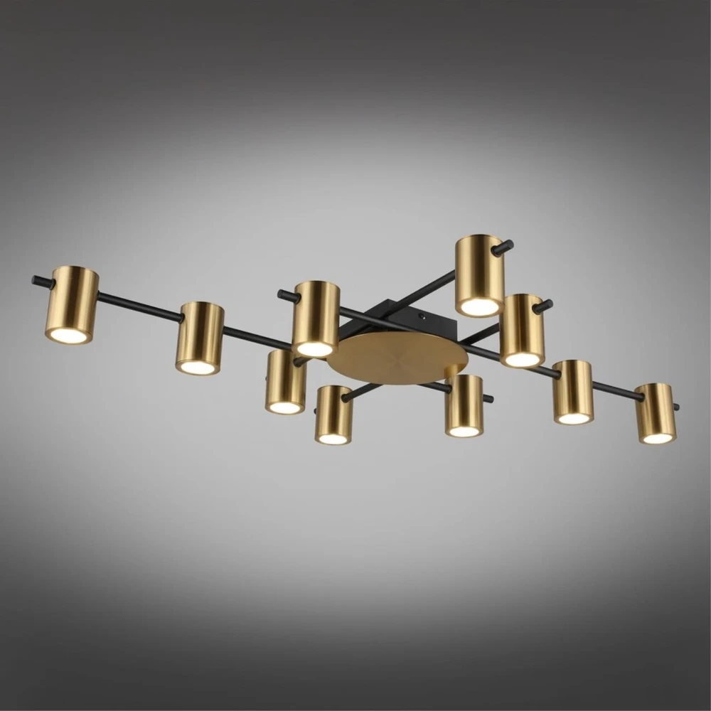 Потолочная люстра Aployt ELWISIA APL.633.07.10