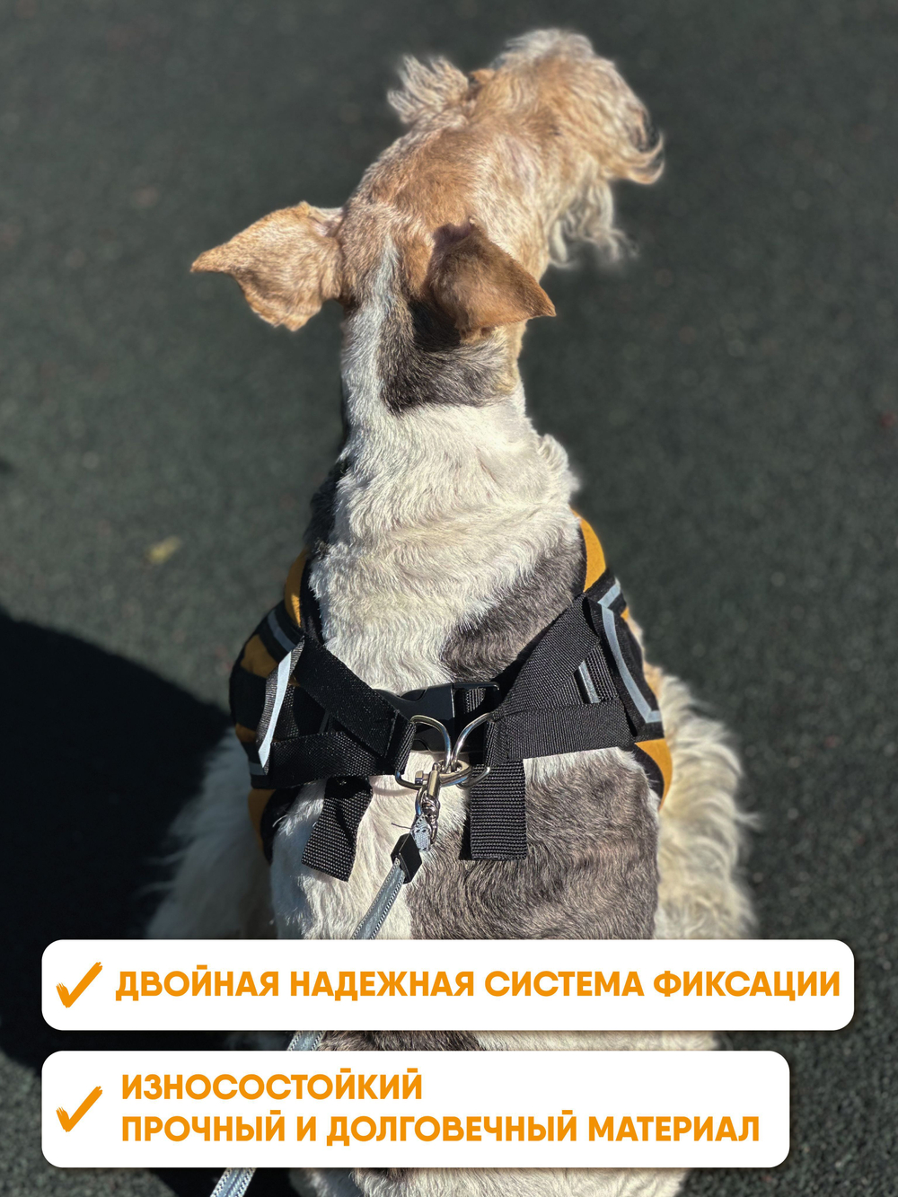 Шлейка для собак из софтшелла, горчичный, размер М