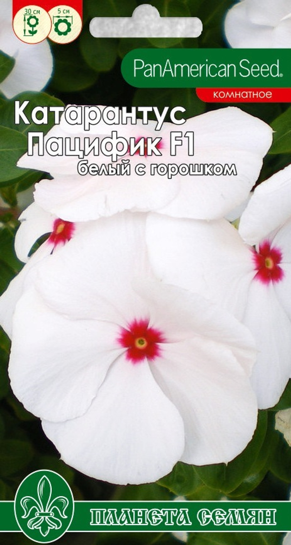 Катарантус Пацифик F1 белый с горошком