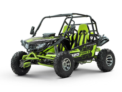 Багги SHARMAX XForce 320 Sport