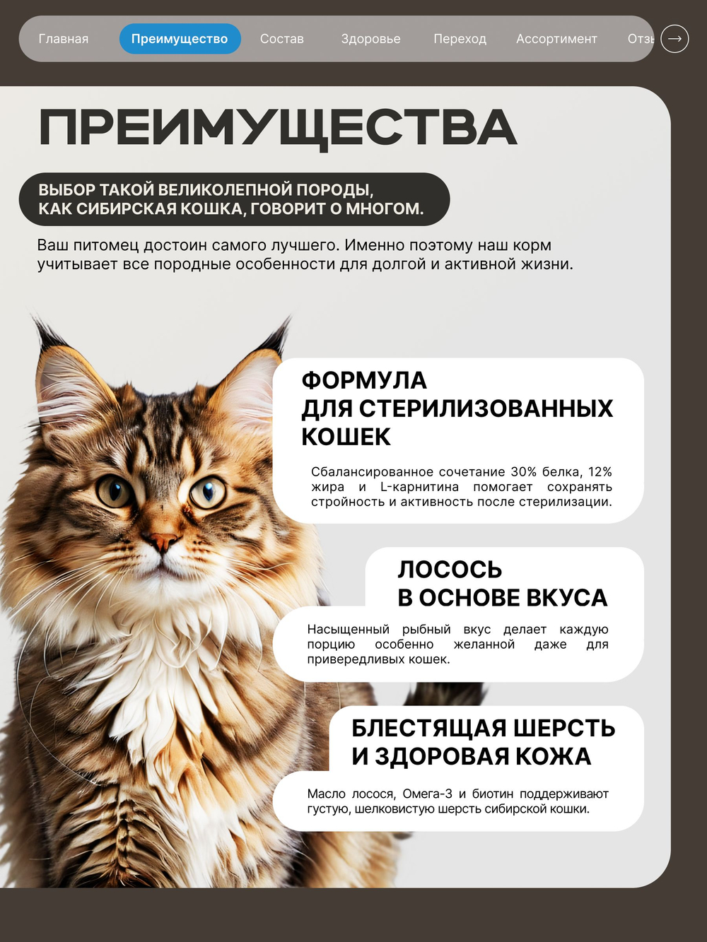 Корм сухой для стерилизованных кошек породы Сибирская, с лососем, 5 кг, QUATTRO