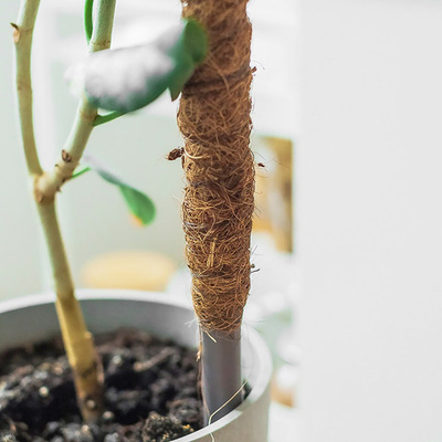 Опора для цветов 120см d-25см с кокосовым волокном