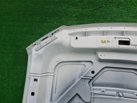 Капот Ford F-150 8 (2014-2020)