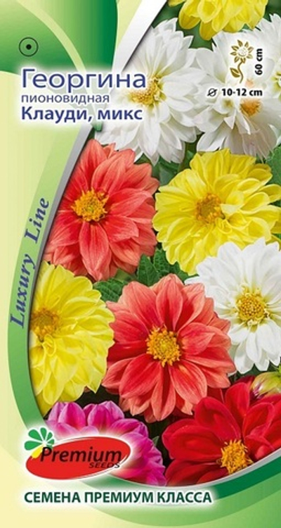 Георгина пионовидная Клауди, микс