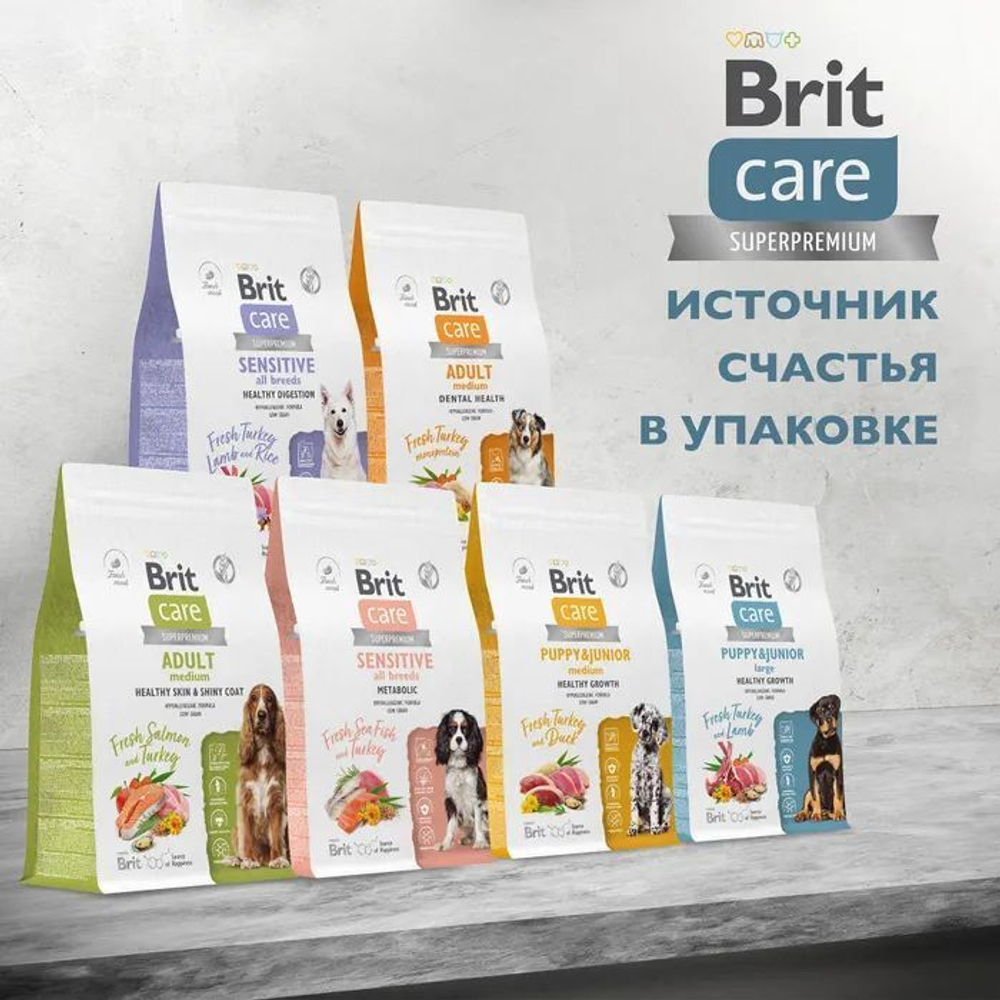 Корм для собак сухой BRIT CARE "Dog Adult Large Chondroprotectors" для крупных пород, с индейкой и уткой, 3 кг