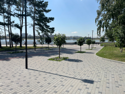 Тротуарная плитка ВАН, форма Квадрат 100*100, h=60мм