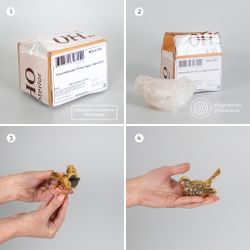 Ручка мебельная Птичка Терра левая Античное серебро