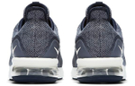 Кроссовки Nike Air Max Sequent 3