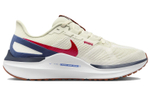 Кроссовки Nike Zoom Structure 25
