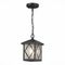 Уличный подвесной светильник ST Luce Lorne SL084.403.01