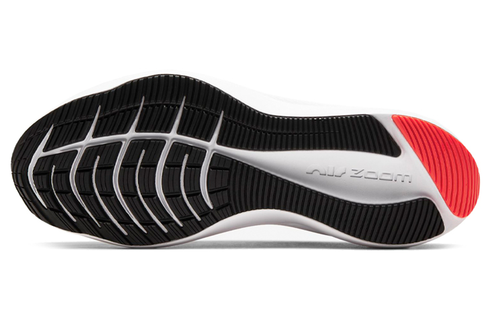 Кроссовки Nike Zoom Winflo 7