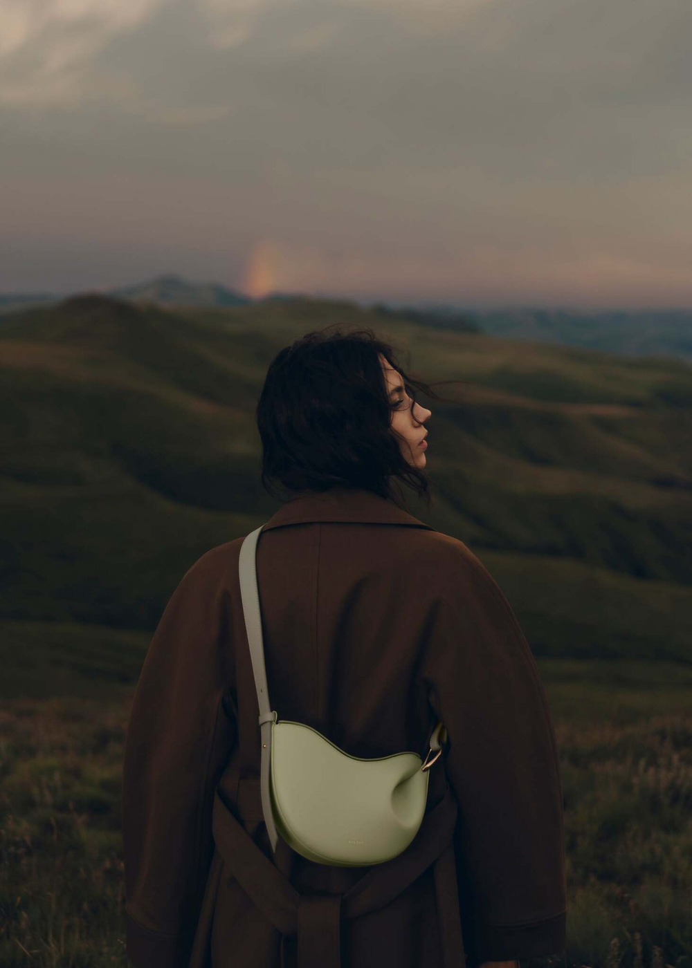 Сумка Polene Tonca EDITION DUO LAURIER