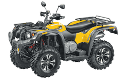 Квадроцикл STELS ATV 500 YS Leopard