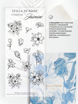 Ежедневник Stella Classic Pure