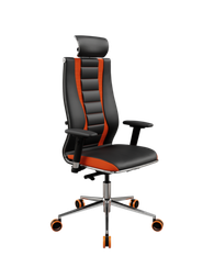 SynchroSit 10 B2-160D - X2+Extra /Km39/Wm12/D03P/H13mL-2D(M24.B23.G18.W37)