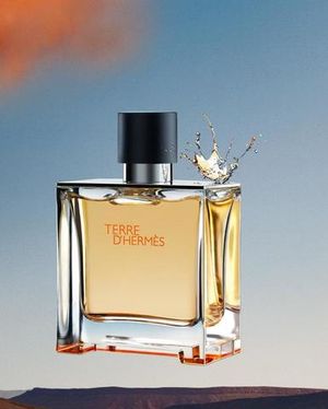 Hermes Terre D'Hermes Eau De Parfum