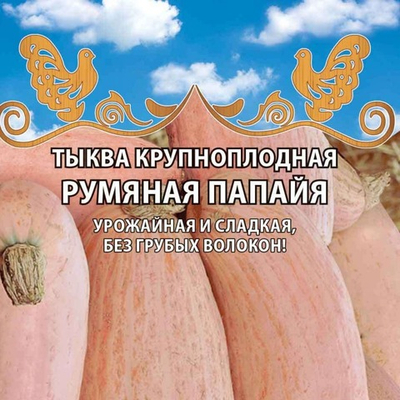 Тыква крупноплодная Румяная папайя