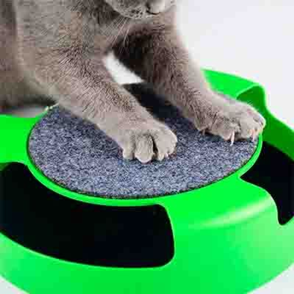 Pet Fashion Трек интерактивный с когтеточкой