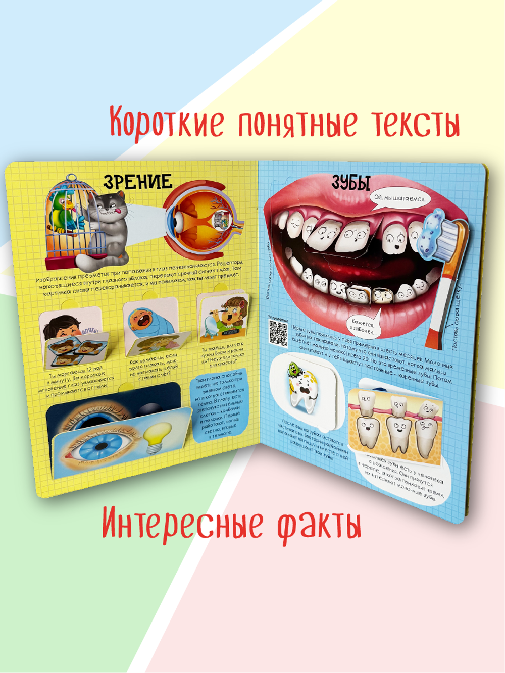 Энциклопедия с окошками (ЦК) Как устроено твое тело