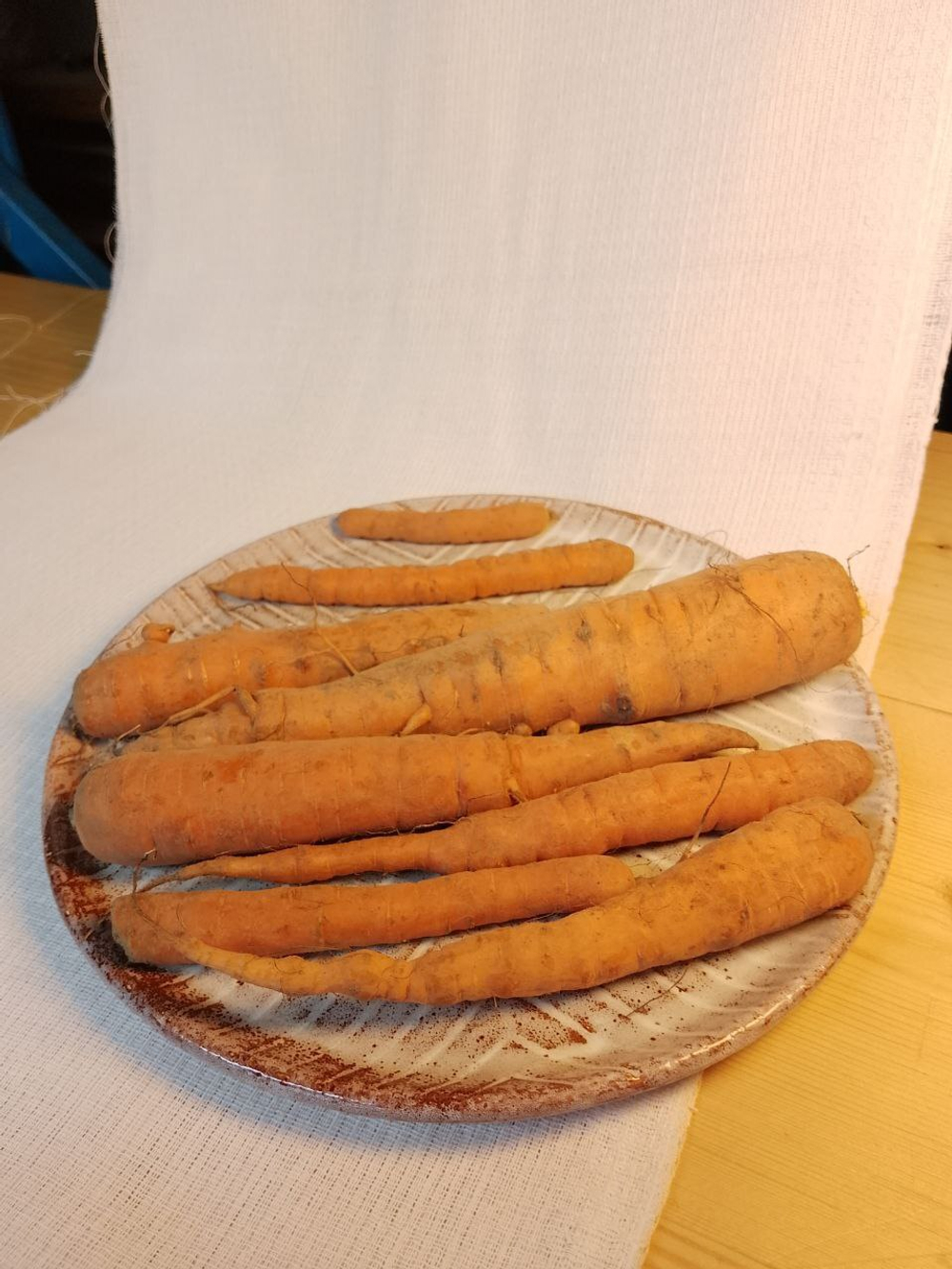 Морковь некондиционная