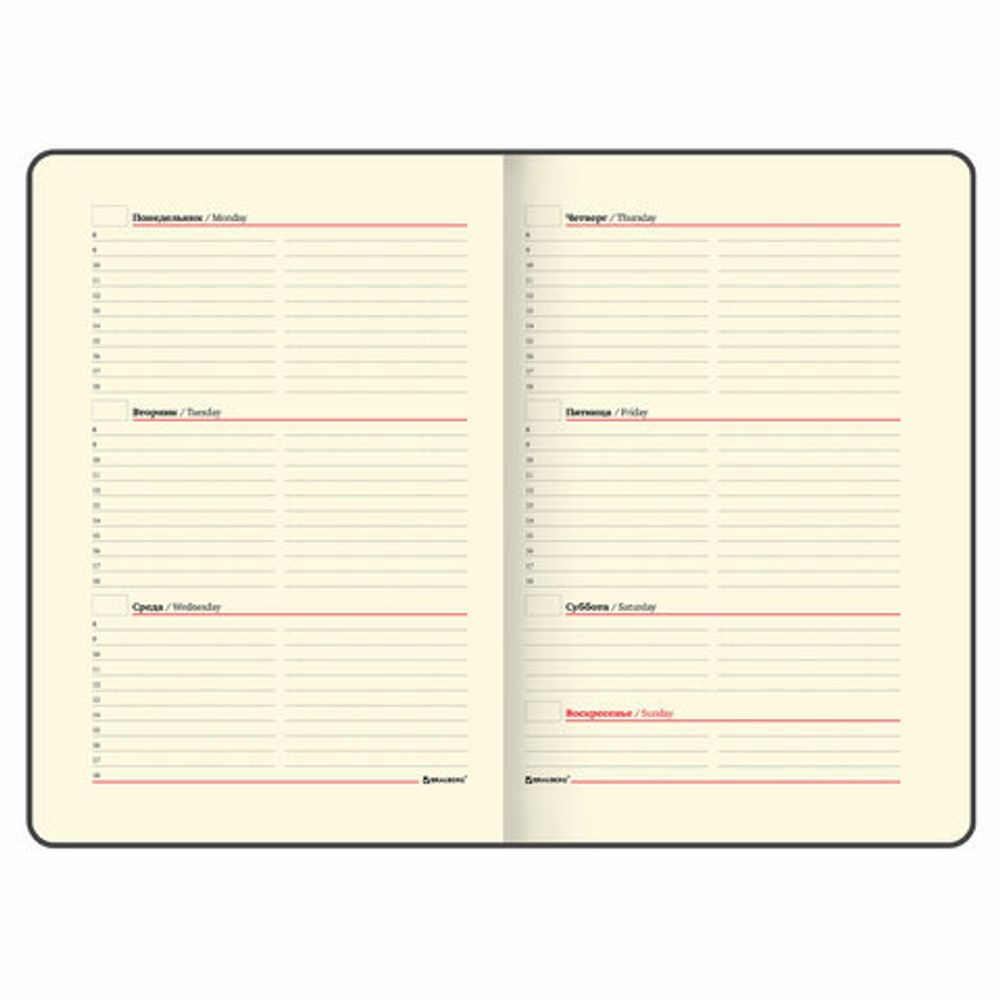 Еженедельник недатированный А5 145х215 мм BRAUBERG "Status", под кожу, 64 л., черный, 113370