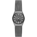 Женские наручные часы Skagen SKW3039