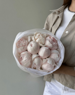 пионы купить