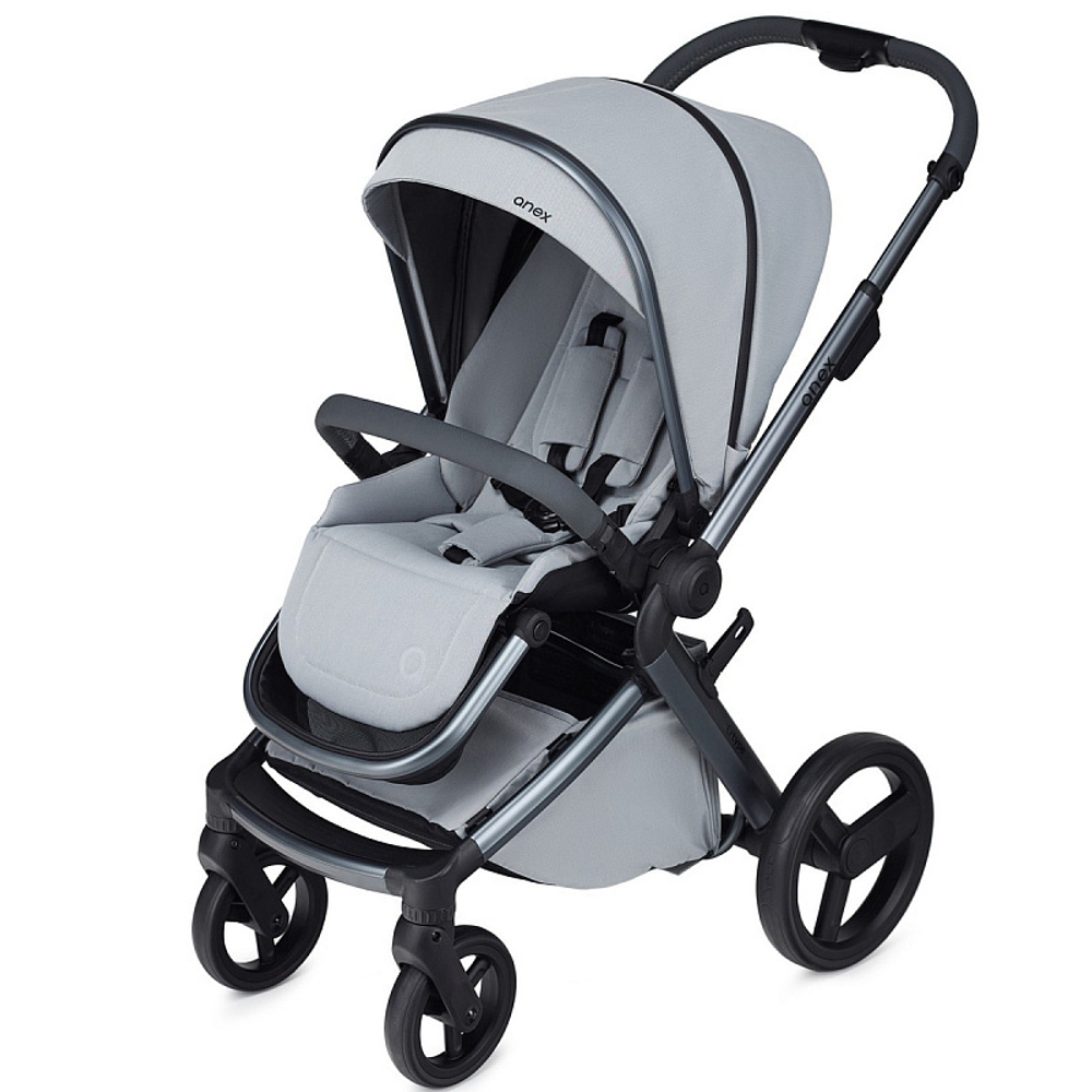 Детская коляска Anex l/type 2 в 1 с аксессуарами frost