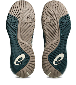 Теннисные кроссовки Asics Gel-Resolution X