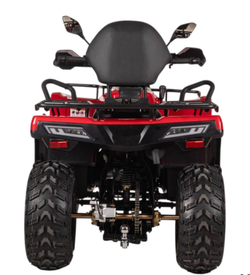 Квадроцикл Bizon YK200 BASIC CARB