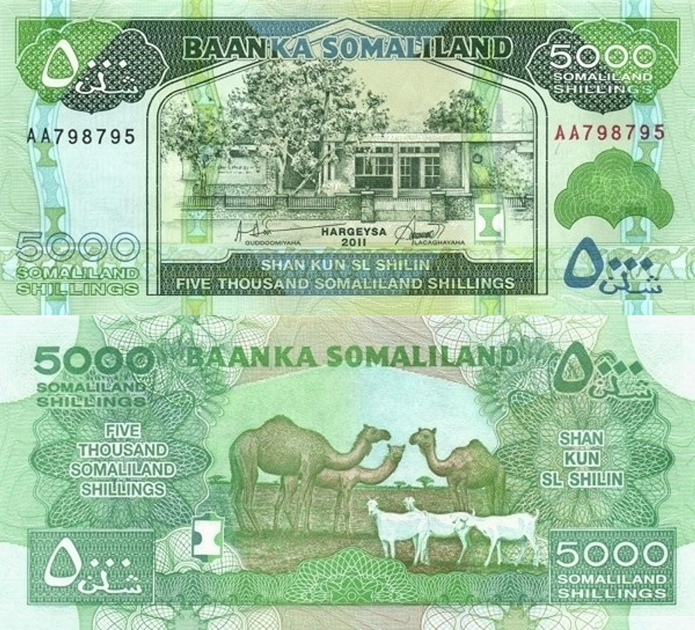 Сомалиленд 5000 шиллингов 2011-2016 Верблюды UNC